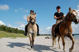 Askov Ridecenter | Horseback Riding - Rated 0.9