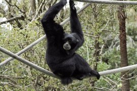 Audubon Zoo | Zoos & Sanctuaries - Rated 4