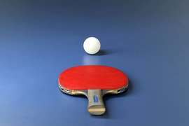 World Table Tennis Centre WTTC in Australia, New South Wales | Ping-Pong - Rated 0.9