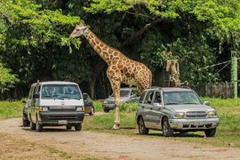 Auto Safari Chapin in Guatemala, Escuintla Department | Safari - Rated 4