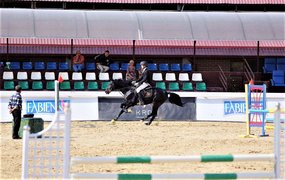 "BABOS" HORSE CLUB in Uzbekistan, Tashkent Region | Horseback Riding - Rated 1