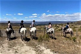 Backcountry Saddle Expeditions Ltd in New Zealand, Otago | Horseback Riding - Rated 1.2