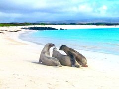 Bahia Tortuga in Ecuador, Galapagos | Beaches - Rated 4