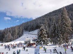 Banderishka Meadow | Snowboarding,Skiing - Rated 4.5