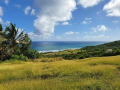 Barclays Park via Chalky Mount in Barbados, St. Joseph Parish | Trekking & Hiking - Rated 0.7