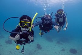 Anderson's Scuba Diving in USA, California | Scuba Diving - Rated 0.7