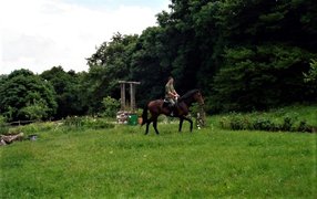 Batumi Horse Club | Horseback Riding - Rated 0.9