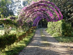Belize Spice Farm & Botanical Garden in Belize, Toledo District | Botanical Gardens - Rated 0.8