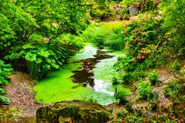 Bellevue Botanical Garden in USA, Washington | Botanical Gardens - Rated 4