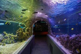 Bergen Aquarium | Aquariums & Oceanariums - Rated 3.9