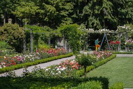 Bern Botanical Garden | Botanical Gardens - Rated 3.7