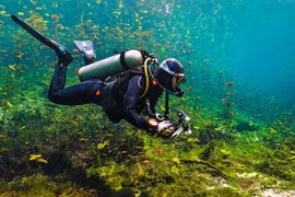 Above & Below | Scuba Diving - Rated 3.2