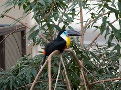 Bird Kingdom in Canada, Ontario | Zoos & Sanctuaries - Rated 4.1
