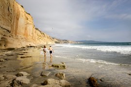 Blacks Beach in USA, California | Beaches - Rated 3.8