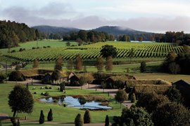Blaxsta Winery | Wineries - Rated 0.7