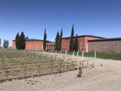 Bodega Ruca Malen | Wineries - Rated 3.8