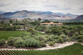 Bodega Colome in Argentina, Salta Province | Wineries - Rated 0.8