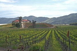 Bodegas Magoni in Mexico, Baja California | Wineries - Rated 4