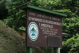 Bosque Estatal Toro Negro | Trekking & Hiking - Rated 3.8