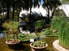 Botanical Garden of Valencia | Botanical Gardens - Rated 3.9