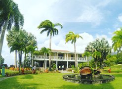 Botanical Gardens of Nevis in Saint Kitts and Nevis, Saint Paul Charlestown Parish | Botanical Gardens - Rated 0.8