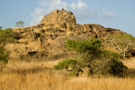 Bouba Njida National Park | Parks,Safari - Rated 0.9