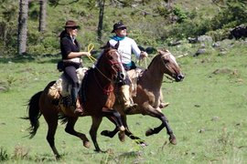 Pitayas Agroturismo Orgânico | Horseback Riding - Rated 0.9
