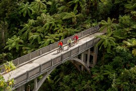 Bridge to Nowhere in New Zealand, Manawatu-Wanganui | Architecture - Rated 0.9
