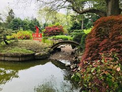 Brooklyn Botanical Garden in USA, New York | Botanical Gardens - Rated 4.3