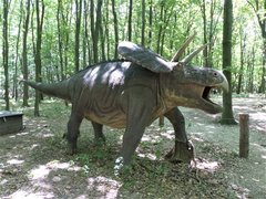 Budakeszi Wildlife Park | Zoos & Sanctuaries,Parks - Rated 4.3