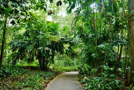 Bukit-Timakh | Nature Reserves - Rated 4