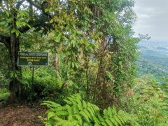 Bukit Chenuang Trail in Malaysia, Selangor | Trekking & Hiking - Rated 0.7