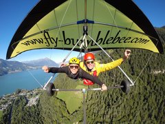 Bumblebee-Hanggliding in Switzerland, Canton of Bern | Hang Gliding - Rated 0.9