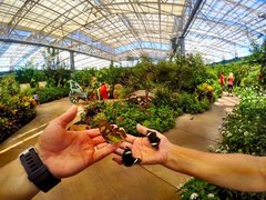 Butterfly Wonderland in USA, Arizona | Zoos & Sanctuaries,Gardens - Rated 4