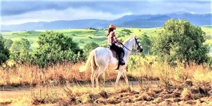 Centre Equestre de Riambel in Mauritius, Savanne District | Horseback Riding - Rated 0.9