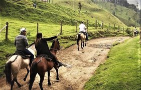 Cabalgatas Entre Lagos in Colombia, Cundinamarca | Horseback Riding - Rated 0.8