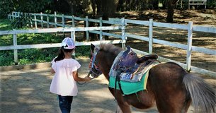 Cabalgatas Rancho Viejo | Horseback Riding - Rated 4.2
