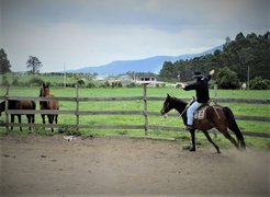 Caballo Tambo in Ecuador, Pichincha | Horseback Riding - Rated 1
