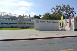 Cabrillo Marine Aquarium in USA, California | Aquariums & Oceanariums - Rated 4.1