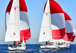 Cal Sailing Club | Yachting,Windsurfing - Rated 1.6