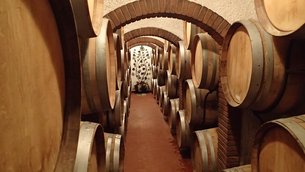 Cantina Sant'Andrea Winery Di Gabriele Pandolfo in Italy, Lazio | Wineries - Rated 3.9