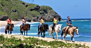 Tropical Trail Rides | Horseback Riding - Rated 9.7
