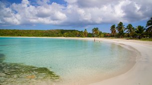 Caracas Beach in Puerto Rico, Vieques Island | Beaches - Rated 3.9