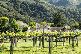 Caraccioli Cellars in USA, California | Wineries - Rated 3.6