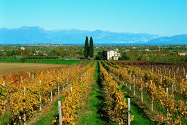 Cascina Maddalena in Italy, Lombardy | Wineries - Rated 0.9