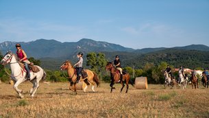 Riding Fun In The Sun in Spain, Andalusia | Horseback Riding - Rated 1.1