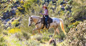 Cave Creek Outfitters in USA, Arizona | Horseback Riding - Rated 1.2