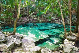 Cenote Azul | Caves & Underground Places,Diving - Rated 9.8