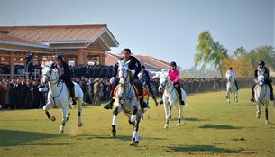Center Horse Racing Touring Club De France in France, Ile-de-France | Horseback Riding - Rated 0.8