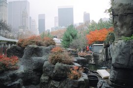 Central Park Zoo | Zoos & Sanctuaries - Rated 5.1